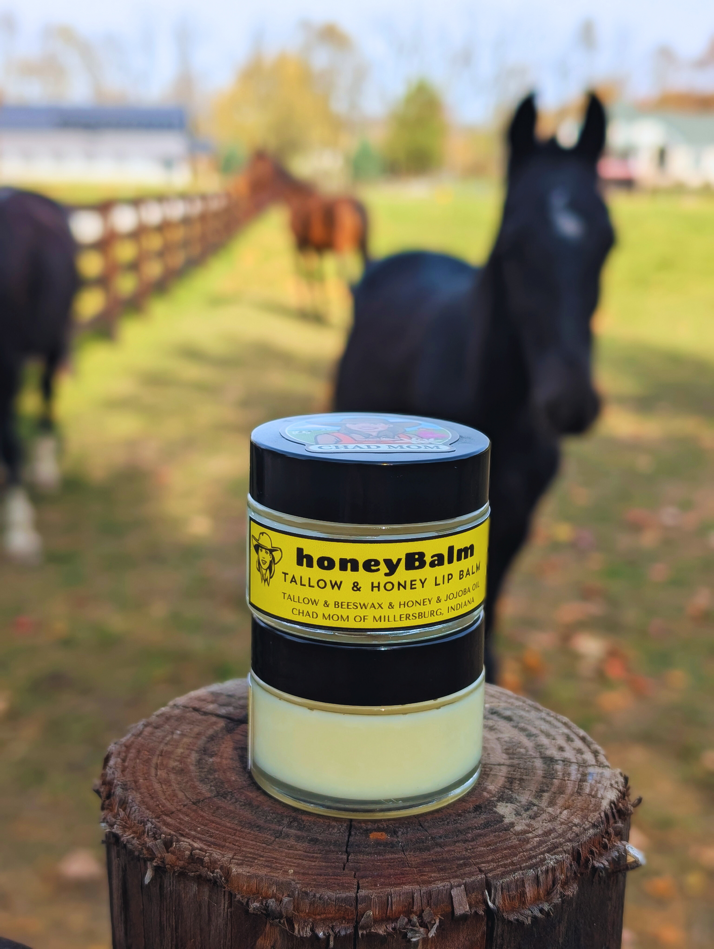 Honey Tallow Lip Balm | honeybalm